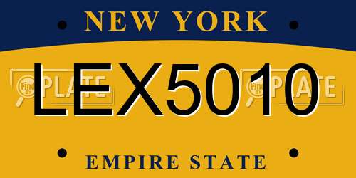 LEX5010 New York License Plate