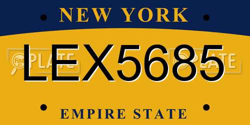 LEX5685 New York License Plate
