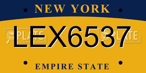 LEX6537 New York License Plate