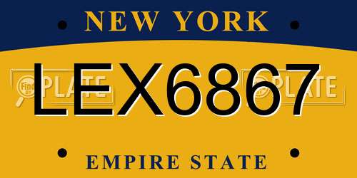 LEX6867 New York License Plate