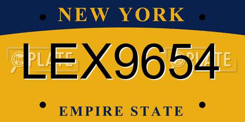 LEX9654 New York License Plate