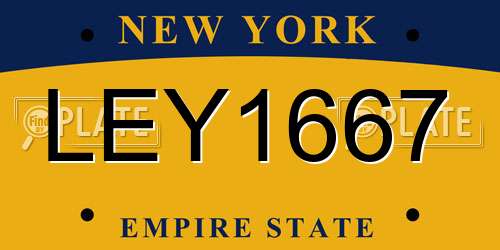 LEY1667 New York License Plate