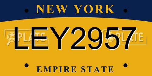 LEY2957 New York License Plate