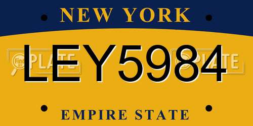 LEY5984 New York License Plate