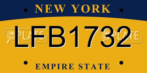 LFB1732 New York License Plate