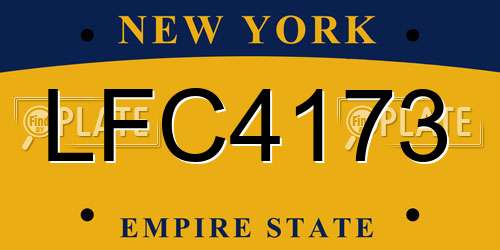 LFC4173 New York License Plate