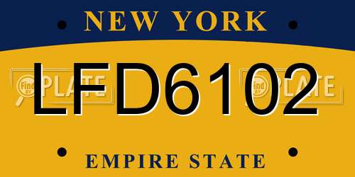 LFD6102 New York License Plate