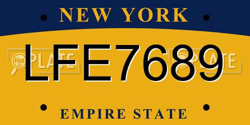 LFE7689 New York License Plate