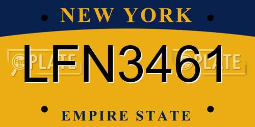 LFN3461 New York License Plate