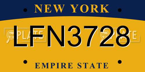 LFN3728 New York License Plate