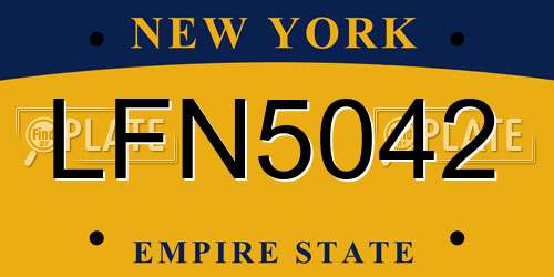 LFN5042 New York License Plate