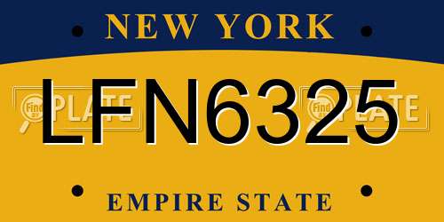 LFN6325 New York License Plate