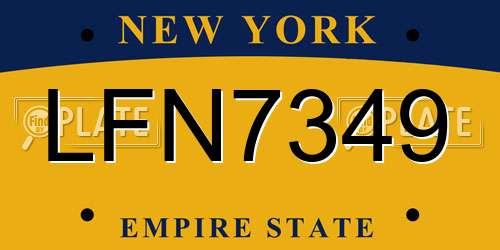 LFN7349 New York License Plate