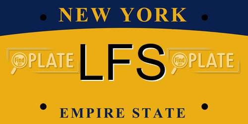 LFS New York License Plate
