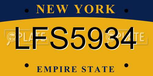 LFS5934 New York License Plate