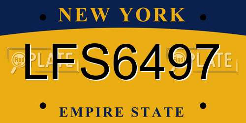 LFS6497 New York License Plate