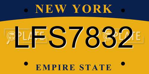 LFS7832 New York License Plate