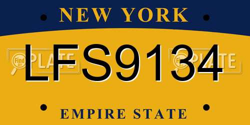 LFS9134 New York License Plate