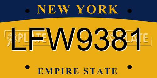 LFW9381 New York License Plate