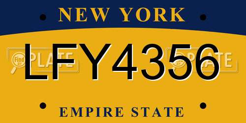 LFY4356 New York License Plate