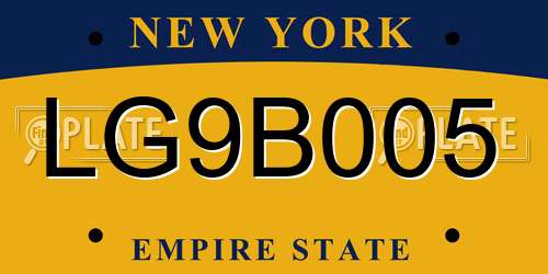 LG9B005 New York License Plate