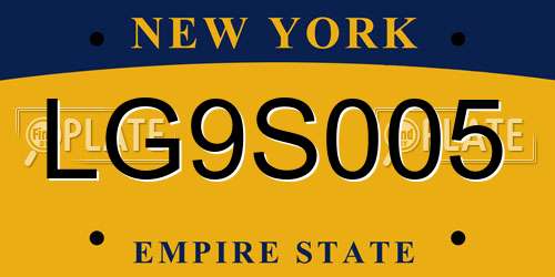 LG9S005 New York License Plate