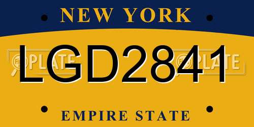 LGD2841 New York License Plate
