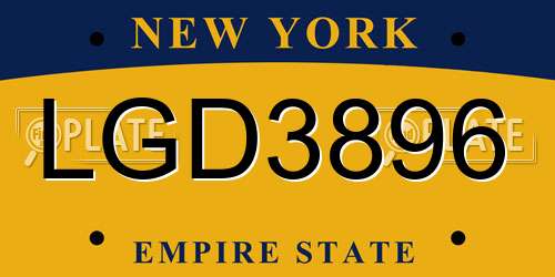 LGD3896 New York License Plate