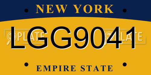 LGG9041 New York License Plate