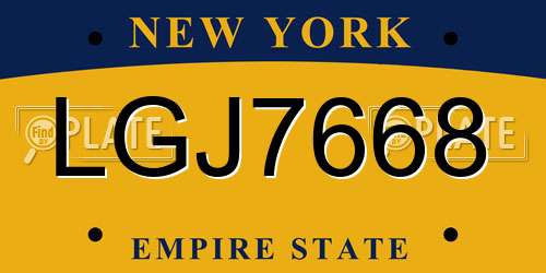 LGJ7668 New York License Plate