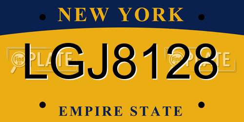 LGJ8128 New York License Plate