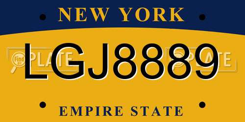 LGJ8889 New York License Plate