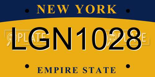LGN1028 New York License Plate