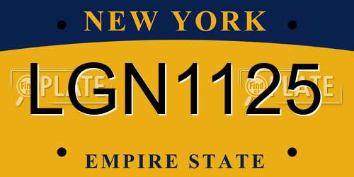 LGN1125 New York License Plate