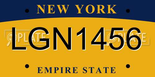 LGN1456 New York License Plate
