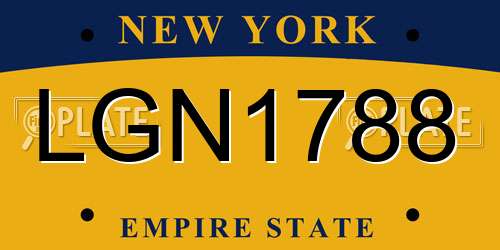 LGN1788 New York License Plate