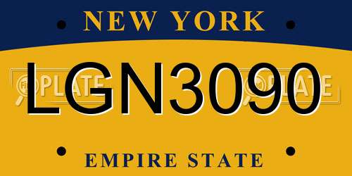 LGN3090 New York License Plate