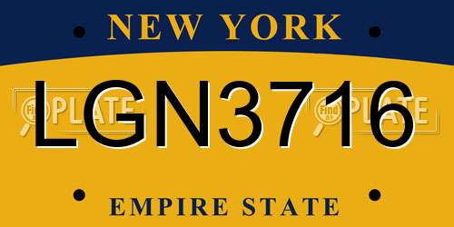 LGN3716 New York License Plate