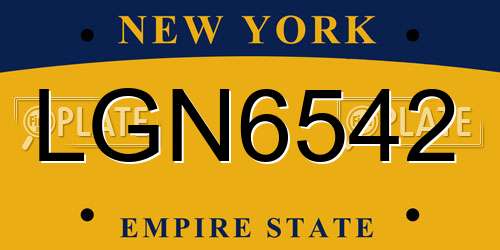 LGN6542 New York License Plate