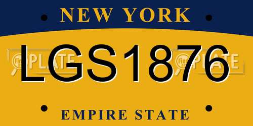 LGS1876 New York License Plate