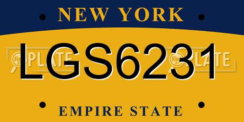 LGS6231 New York License Plate