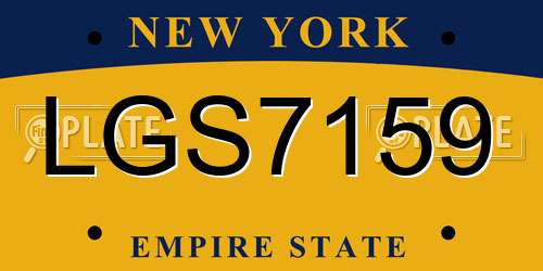 LGS7159 New York License Plate