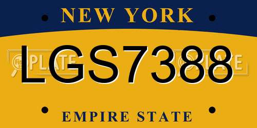 LGS7388 New York License Plate