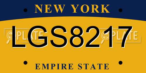 LGS8217 New York License Plate