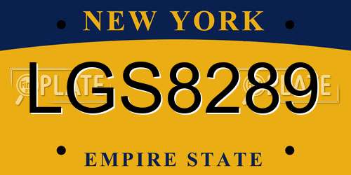 LGS8289 New York License Plate
