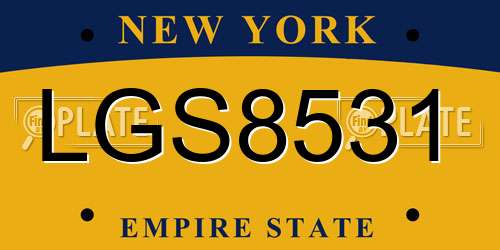 LGS8531 New York License Plate