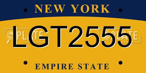 LGT2555 New York License Plate