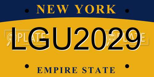LGU2029 New York License Plate