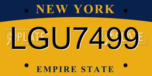 LGU7499 New York License Plate