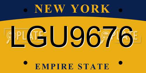 LGU9676 New York License Plate
